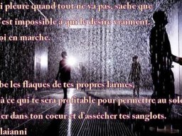 toi qui pleure sur toi-même